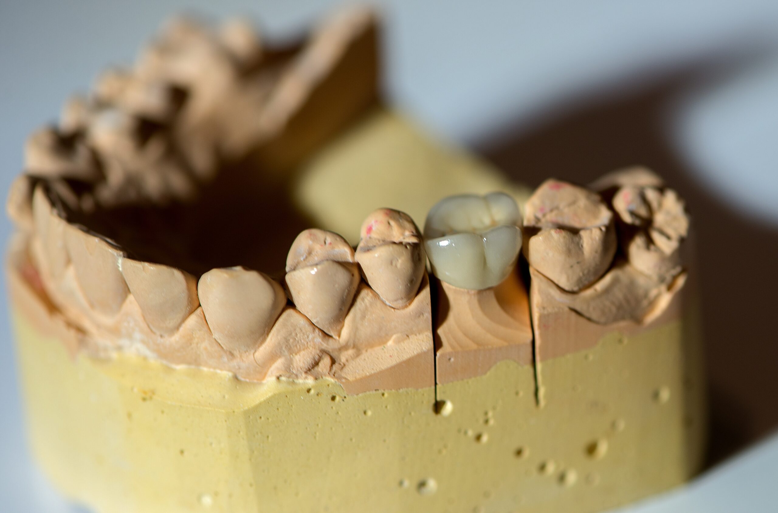 dentist in Charleston, West Virginia, United States